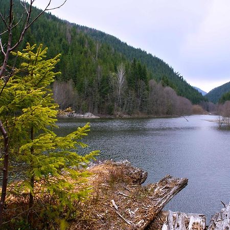 Dream Hostel Carpathians 拉希夫 外观 照片