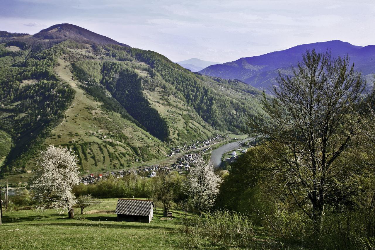 Dream Hostel Carpathians 拉希夫 外观 照片